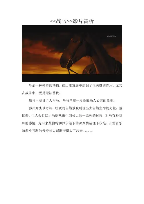 战马