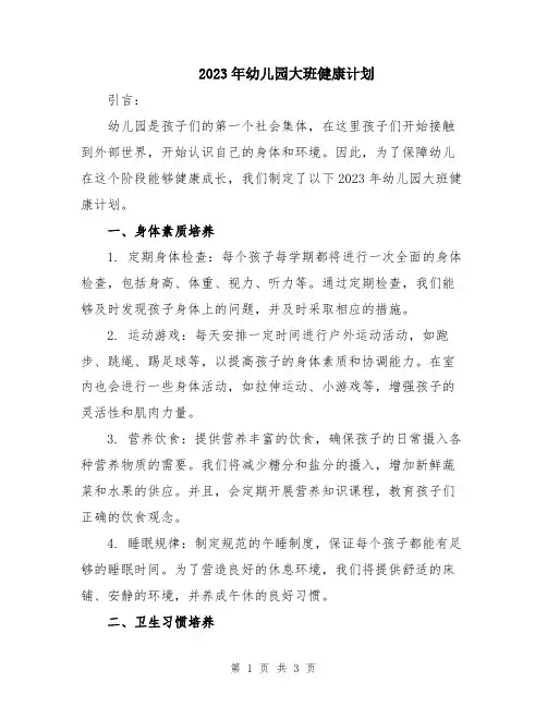 2023年幼儿园大班健康计划