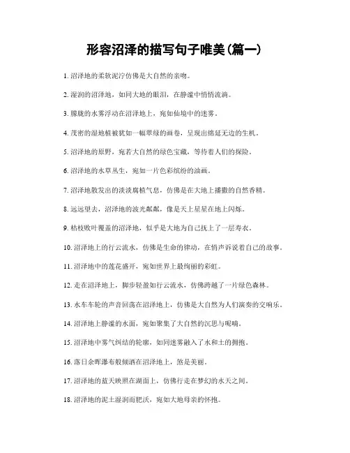 形容沼泽的描写句子唯美(精选两篇)