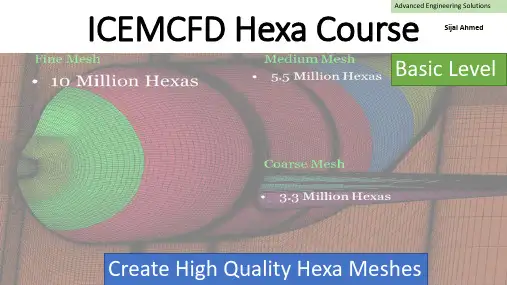 ICEM CFD六面体网格划分