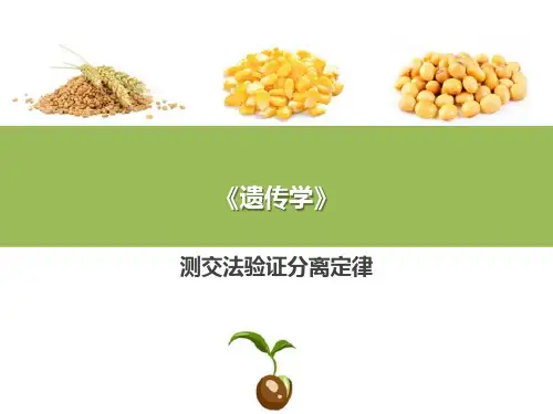 孟德尔定律—分离定律(普通遗传学课件)