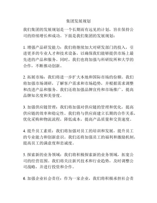 集团发展规划