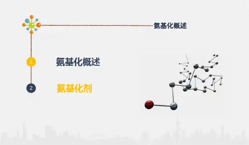 氨基化概述