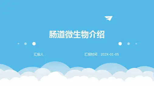 肠道微生物介绍