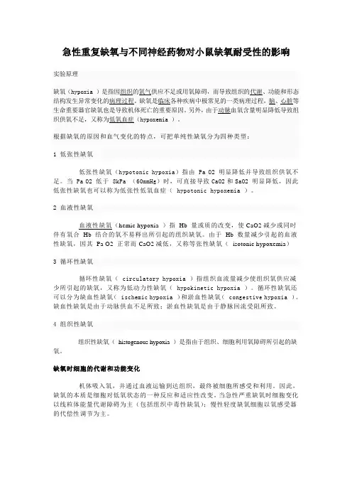 缺氧实验