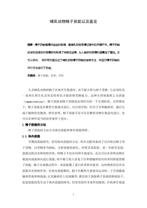 哺乳动物精子获能及其鉴定