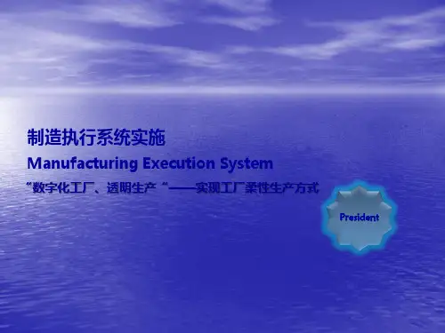 MES在制药行业的应用ppt课件