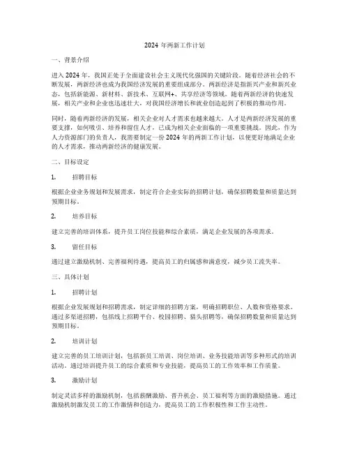 2024年两新工作计划
