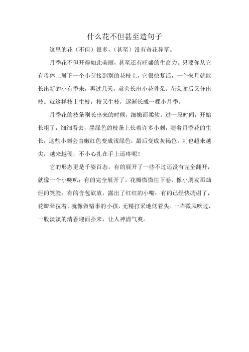什么花不但甚至造句子