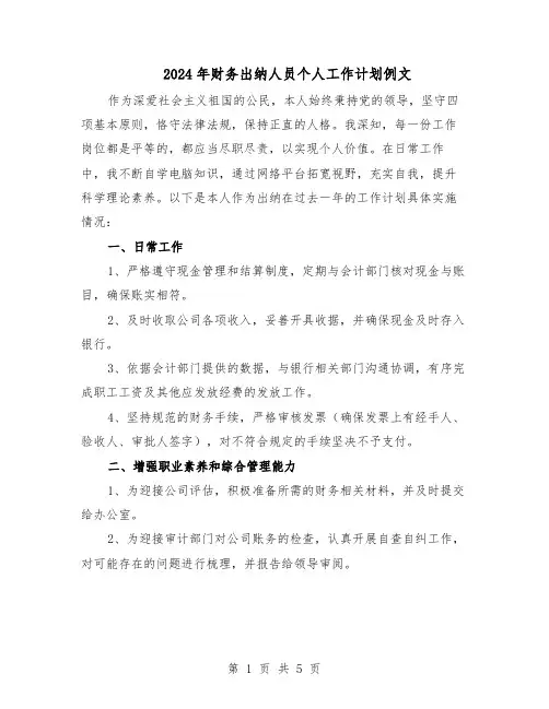 2024年财务出纳人员个人工作计划例文（3篇）
