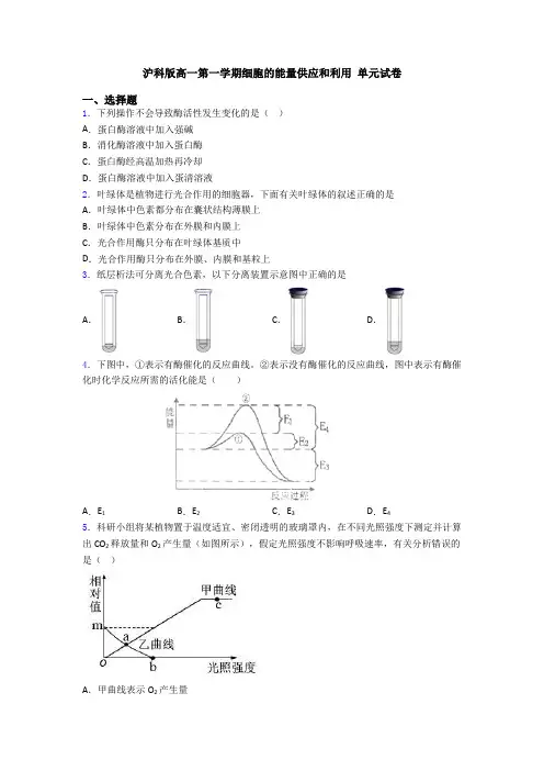 沪科版高一第一学期细胞的能量供应和利用 单元试卷