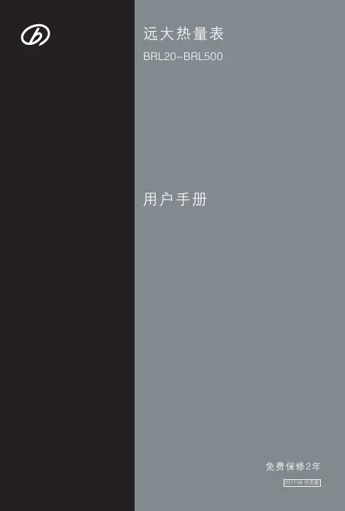 远大热量表BRL20~BRL500 说明书