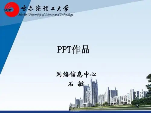 ppt作品