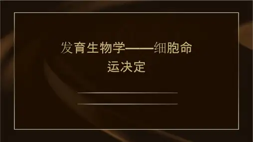 发育生物学——细胞命运决定课件