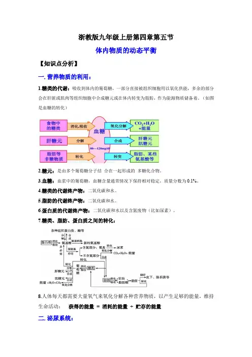 3.5体内物质的动态平衡(讲义)