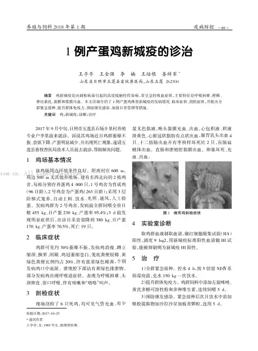1 例产蛋鸡新城疫的诊治