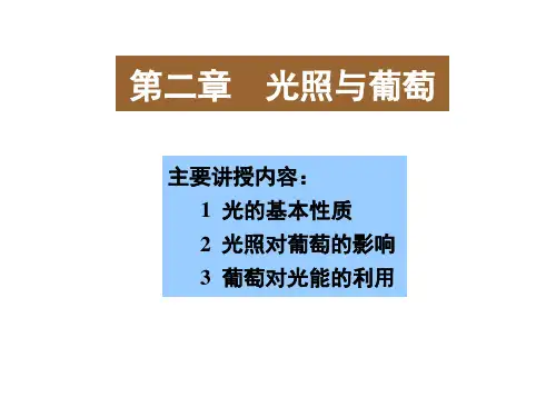 葡萄生态学：第二章 葡萄与光照