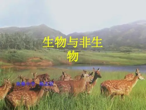 七年级科学观察蜗牛