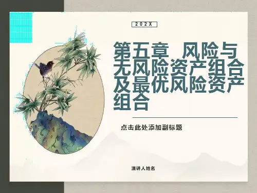 风险与无风险资产组合及最优风险资产组合