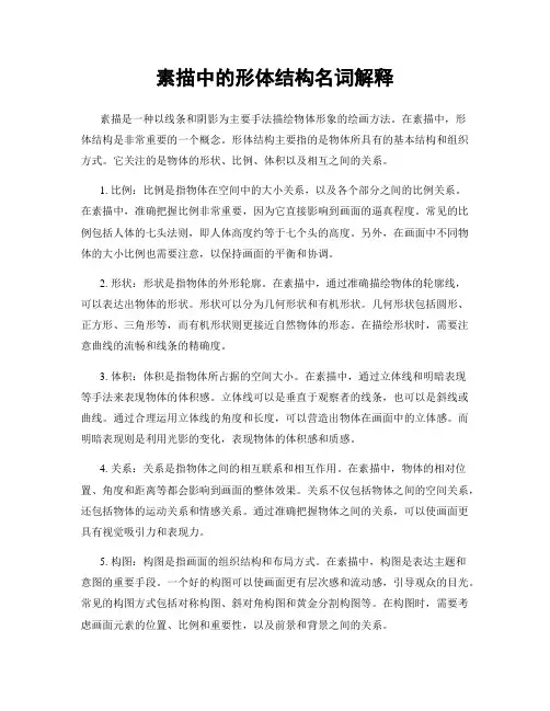 素描中的形体结构名词解释