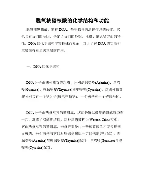 脱氧核糖核酸的化学结构和功能