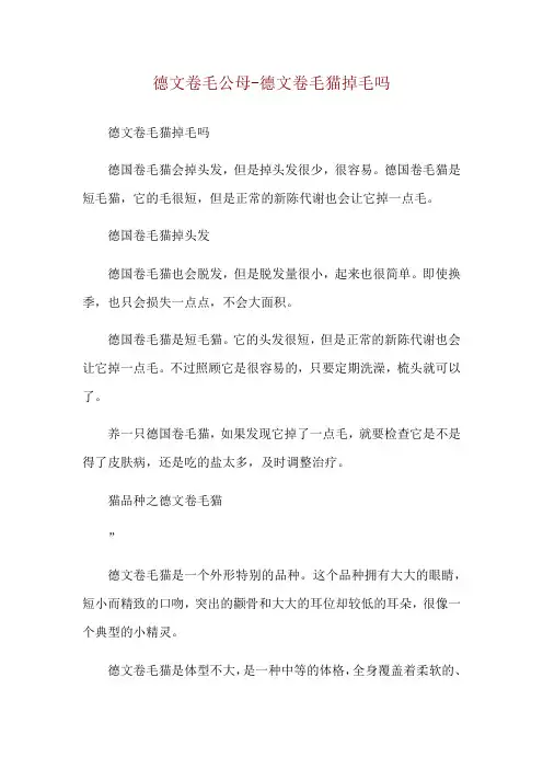 德文卷毛公母-德文卷毛猫掉毛吗