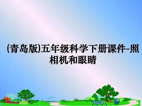 最新(青岛版)五年级科学下册课件-照相机和眼睛教学讲义ppt课件