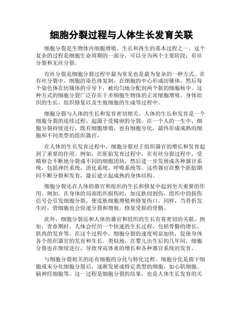 细胞分裂过程与人体生长发育关联