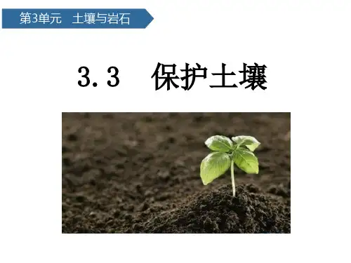 《保护土壤》PPT课件下载苏教版科学1