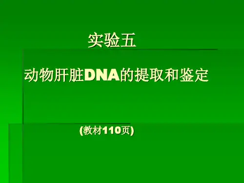 生化实验4动物肝脏DNA的提取和鉴定
