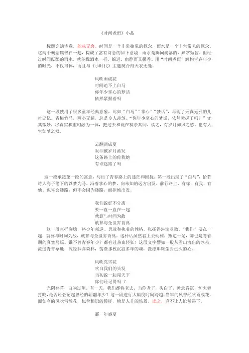 《时间煮雨》精彩点评和赏析