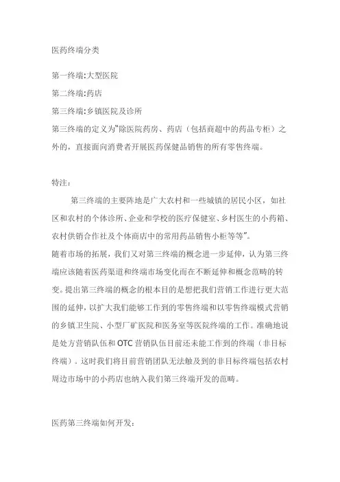 第三终端