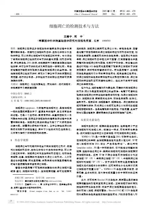 细胞凋亡的检测技术与方法
