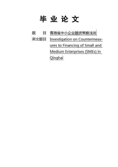 青海省中小企业融资策略浅谈