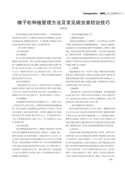 樟子松种植管理方法及常见病虫害防治技巧