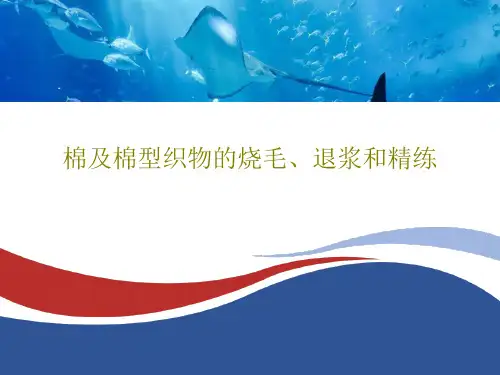 棉及棉型织物的烧毛、退浆和精练PPT共49页
