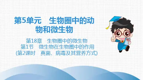 第5单元 第18章 第1节 (第2课时 真菌、病毒及其营养方式)