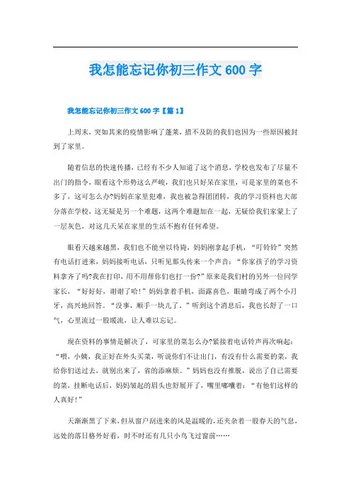 我怎能忘记你初三作文600字