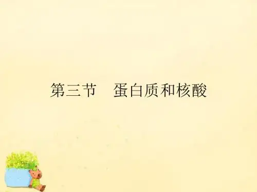 高中化学4.3蛋白质和核酸课件新人教版选修5 (1)