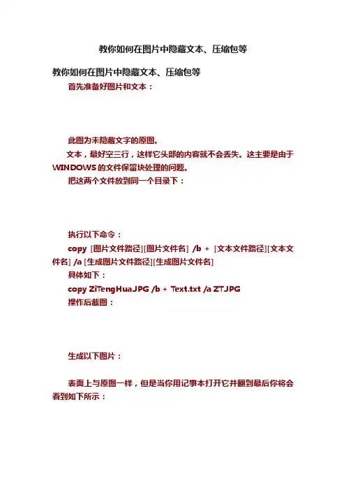 教你如何在图片中隐藏文本、压缩包等