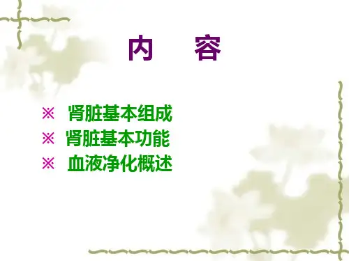 血液净化-技术.ppt