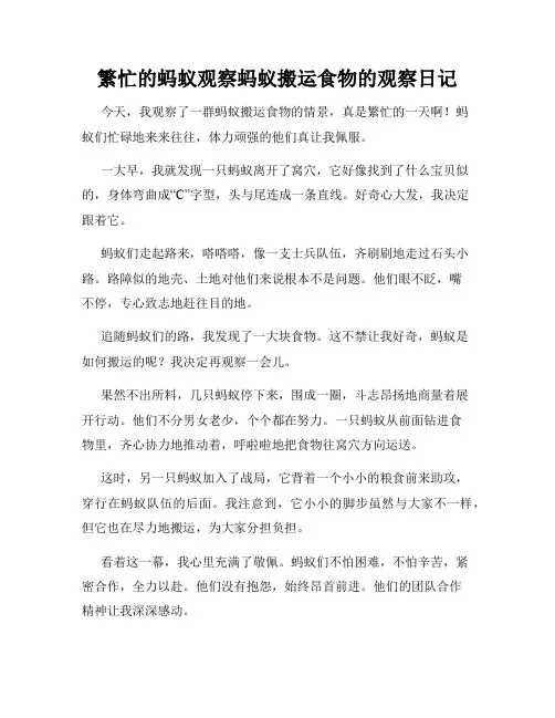 小学三年级作文繁忙的蚂蚁观察蚂蚁搬运食物的观察日记
