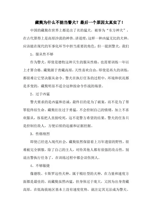 藏獒为什么不能当警犬？最后一个原因太真实了!