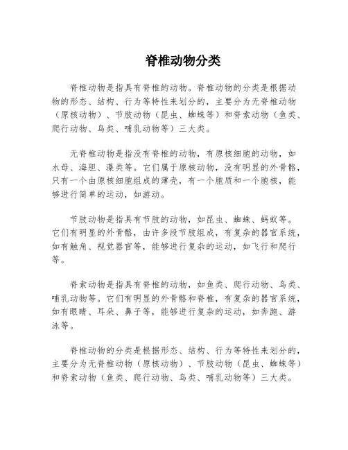 脊椎动物分类
