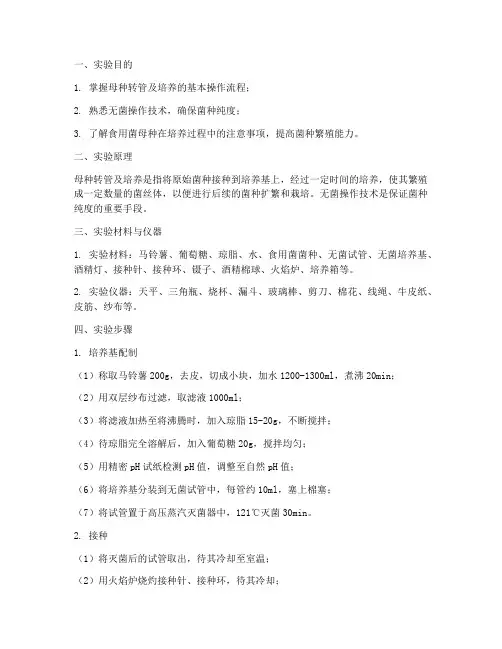 母种转管及培养实训报告