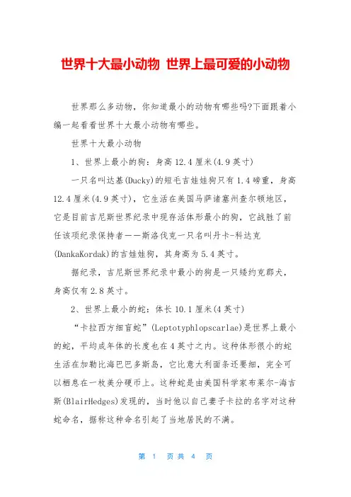 世界十大最小动物 世界上最可爱的小动物