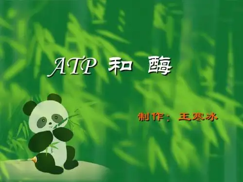 4-1ATP和酶(必修一)