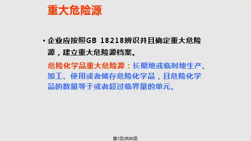 危险化学品重大危险源辨识监控与事故隐患排查治理PPT课件