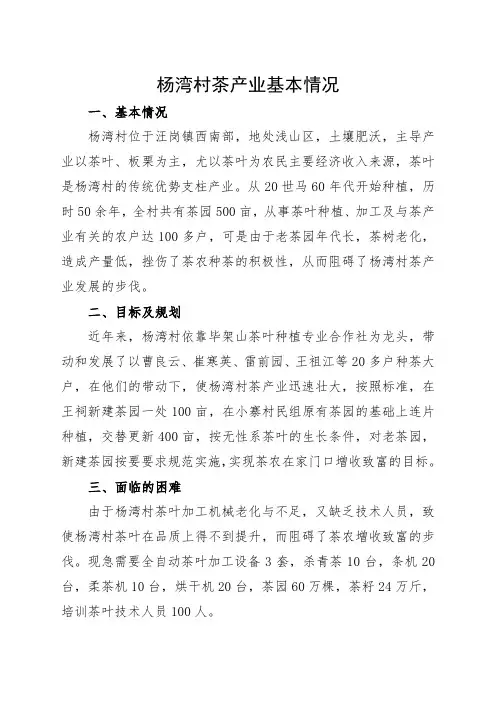 杨湾村茶产业基本情况