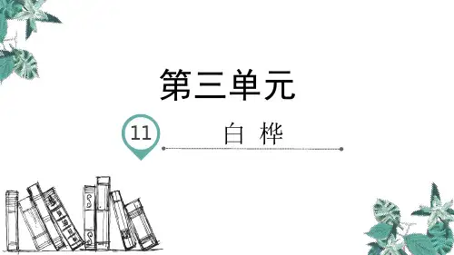 《白桦》ppt—人教部编版白桦完美课件2